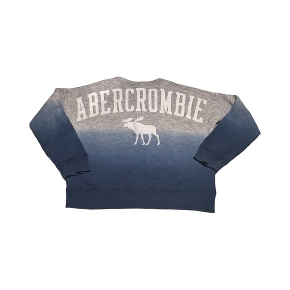 Abercrombie Kids long Sleeve Sweater Crewneck Size‎ 9 / 10 Ombré Blue Gray - Picture 2 of 4